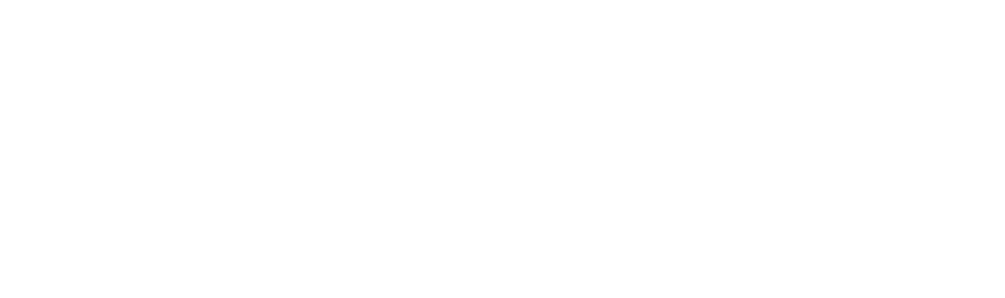 Customer's Voice